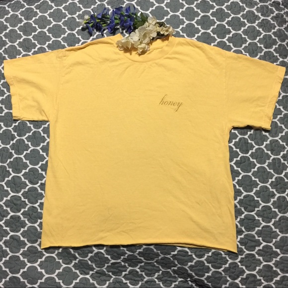 🌸LAST ONE! NWOT Brandy Melville Aleena HONEY TEE - Picture 4 of 6